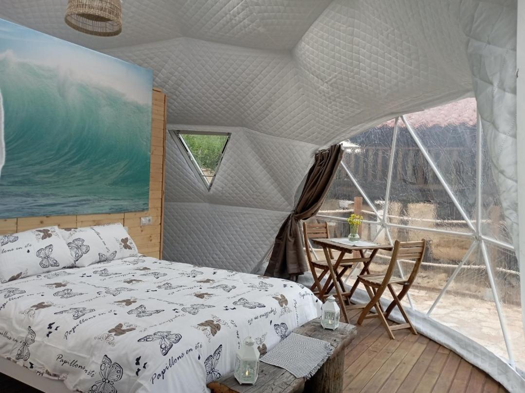 希洪 Glamping Quintana酒店 外观 照片
