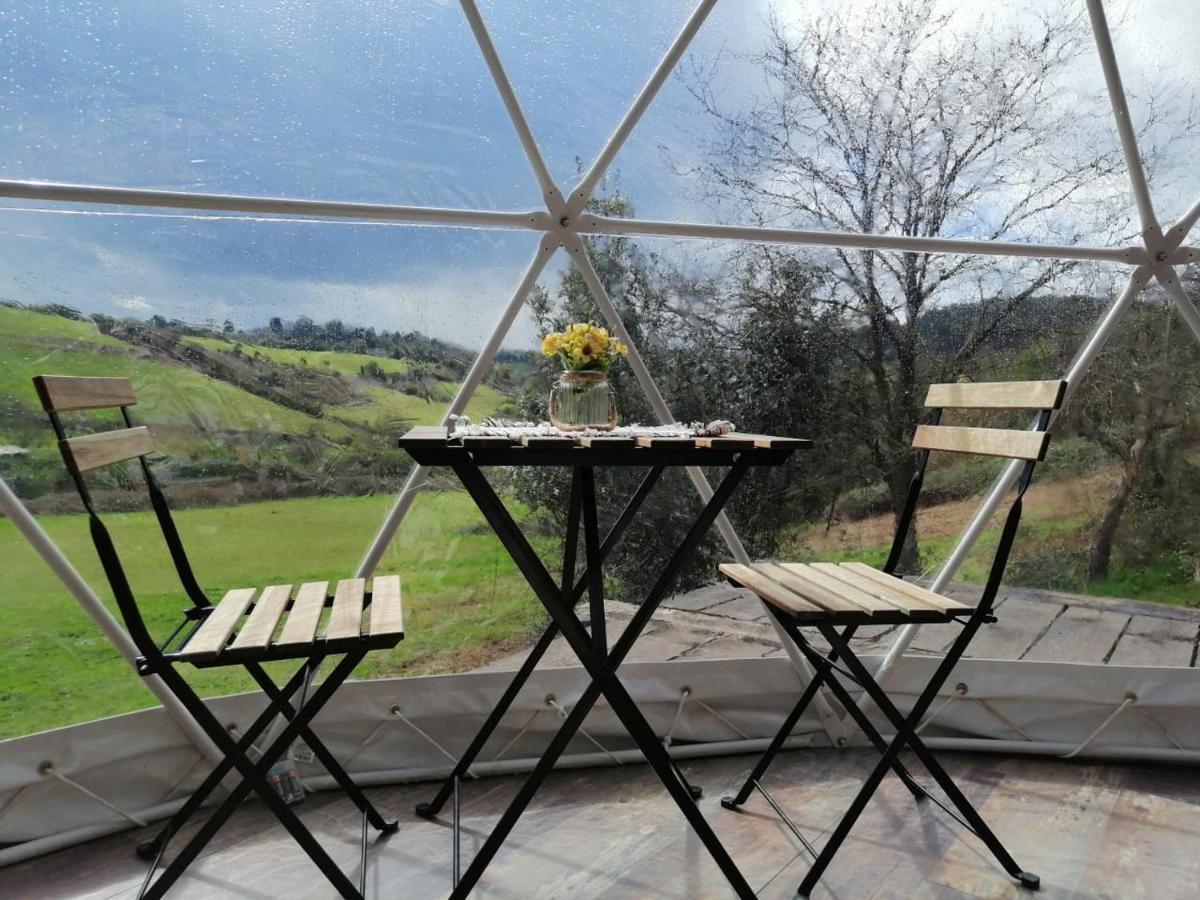 希洪 Glamping Quintana酒店 外观 照片