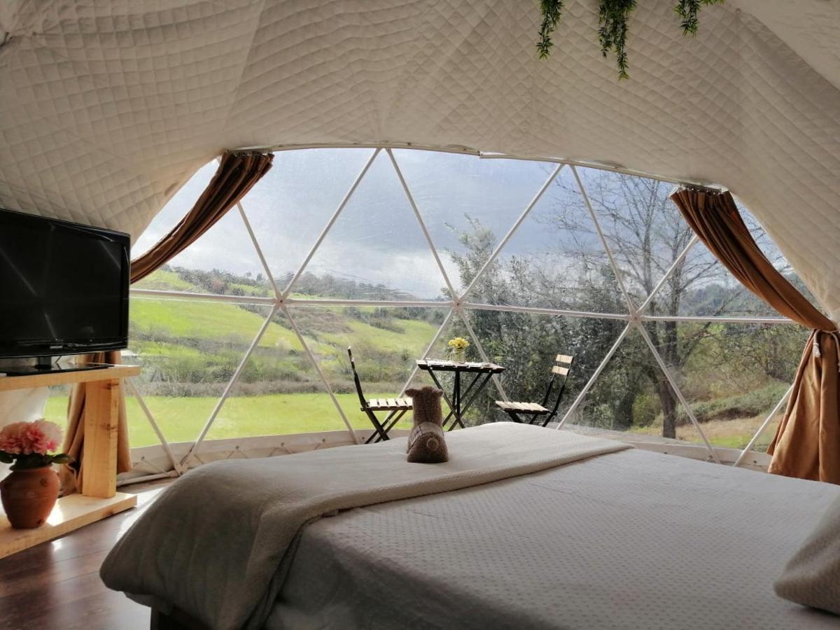 希洪 Glamping Quintana酒店 外观 照片